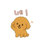 プードル 日本語＆韓国語（個別スタンプ：7）