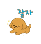 プードル 日本語＆韓国語（個別スタンプ：8）