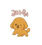 プードル 日本語＆韓国語（個別スタンプ：9）