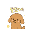 プードル 日本語＆韓国語（個別スタンプ：14）