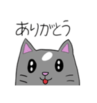 まいねーむいずハムスター（個別スタンプ：14）
