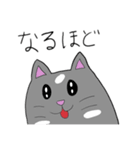 まいねーむいずハムスター（個別スタンプ：24）