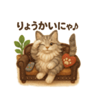 にゃんこスタンプ＊ふわふわメインクーン風（個別スタンプ：13）