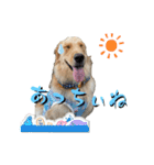 てんちゃんのスタンプvol.2（個別スタンプ：3）