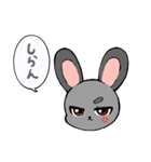 ブラックかっこいい兎（個別スタンプ：1）