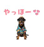 ロットワイラー子犬の夏スタンプ（個別スタンプ：2）