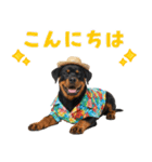 ロットワイラー子犬の夏スタンプ（個別スタンプ：3）