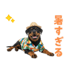 ロットワイラー子犬の夏スタンプ（個別スタンプ：14）