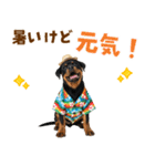 ロットワイラー子犬の夏スタンプ（個別スタンプ：17）