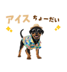 ロットワイラー子犬の夏スタンプ（個別スタンプ：20）