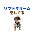 ロットワイラー子犬の夏スタンプ（個別スタンプ：24）