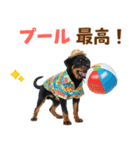 ロットワイラー子犬の夏スタンプ（個別スタンプ：27）