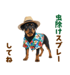 ロットワイラー子犬の夏スタンプ（個別スタンプ：32）