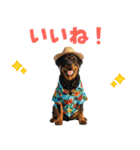 ロットワイラー子犬の夏スタンプ（個別スタンプ：33）