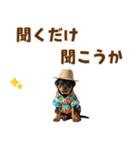 ロットワイラー子犬の夏スタンプ（個別スタンプ：37）