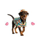 ロットワイラー子犬の夏スタンプ（個別スタンプ：40）