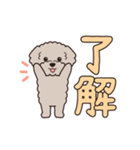 『トイプードル』毎日使えるデカ文字．4（個別スタンプ：3）