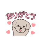 『トイプードル』毎日使えるデカ文字．4（個別スタンプ：5）