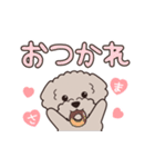 『トイプードル』毎日使えるデカ文字．4（個別スタンプ：15）