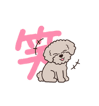 『トイプードル』毎日使えるデカ文字．4（個別スタンプ：18）