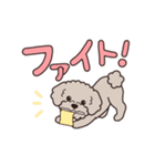 『トイプードル』毎日使えるデカ文字．4（個別スタンプ：20）