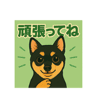 chiwashiba_Kai（個別スタンプ：4）