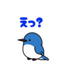 オオルリン（挨拶 ①）（個別スタンプ：7）