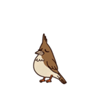 ヒバリちゃん（挨拶 文字無し①）（個別スタンプ：8）