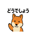 北海道あるあるスタンプ（個別スタンプ：25）