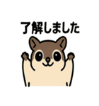 北海道あるあるスタンプ（個別スタンプ：38）