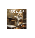 猫たちの全力休日(日本語)（個別スタンプ：4）
