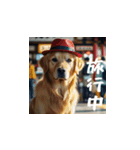 猫たちの全力休日(日本語)（個別スタンプ：15）