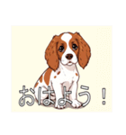 ブリタニースパニエルがいっぱい（個別スタンプ：1）