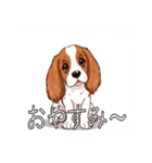 ブリタニースパニエルがいっぱい（個別スタンプ：4）