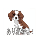 ブリタニースパニエルがいっぱい（個別スタンプ：6）