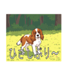 ブリタニースパニエルがいっぱい（個別スタンプ：9）