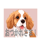 ブリタニースパニエルがいっぱい（個別スタンプ：10）