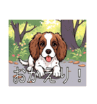 ブリタニースパニエルがいっぱい（個別スタンプ：13）