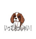 ブリタニースパニエルがいっぱい（個別スタンプ：15）