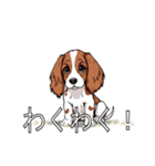 ブリタニースパニエルがいっぱい（個別スタンプ：20）