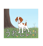 ブリタニースパニエルがいっぱい（個別スタンプ：21）