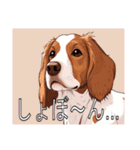 ブリタニースパニエルがいっぱい（個別スタンプ：26）