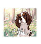 ブリタニースパニエルがいっぱい（個別スタンプ：40）