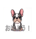 フレンチブルドッグがいっぱい（個別スタンプ：1）