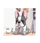 フレンチブルドッグがいっぱい（個別スタンプ：3）