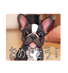 フレンチブルドッグがいっぱい（個別スタンプ：5）