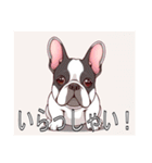 フレンチブルドッグがいっぱい（個別スタンプ：15）