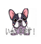 フレンチブルドッグがいっぱい（個別スタンプ：17）