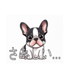 フレンチブルドッグがいっぱい（個別スタンプ：24）