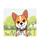 バセンジーがいっぱい（個別スタンプ：3）